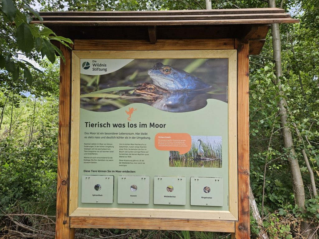 Interaktive Infotafel am Wanderweg Wildnispfad. Foto: Die Wildnisstiftung