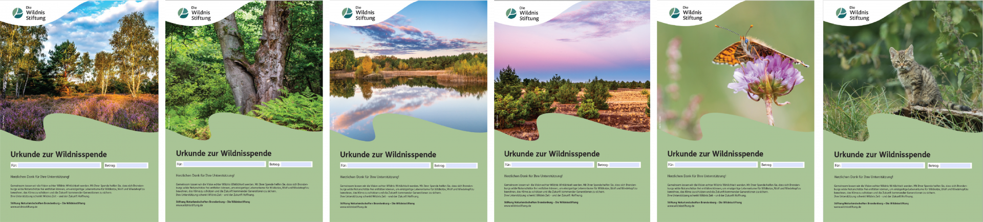 Spendenurkunden Wildnisstiftung