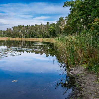 Dr._Tilo_Geisel_See Ugringsee See Lieberose