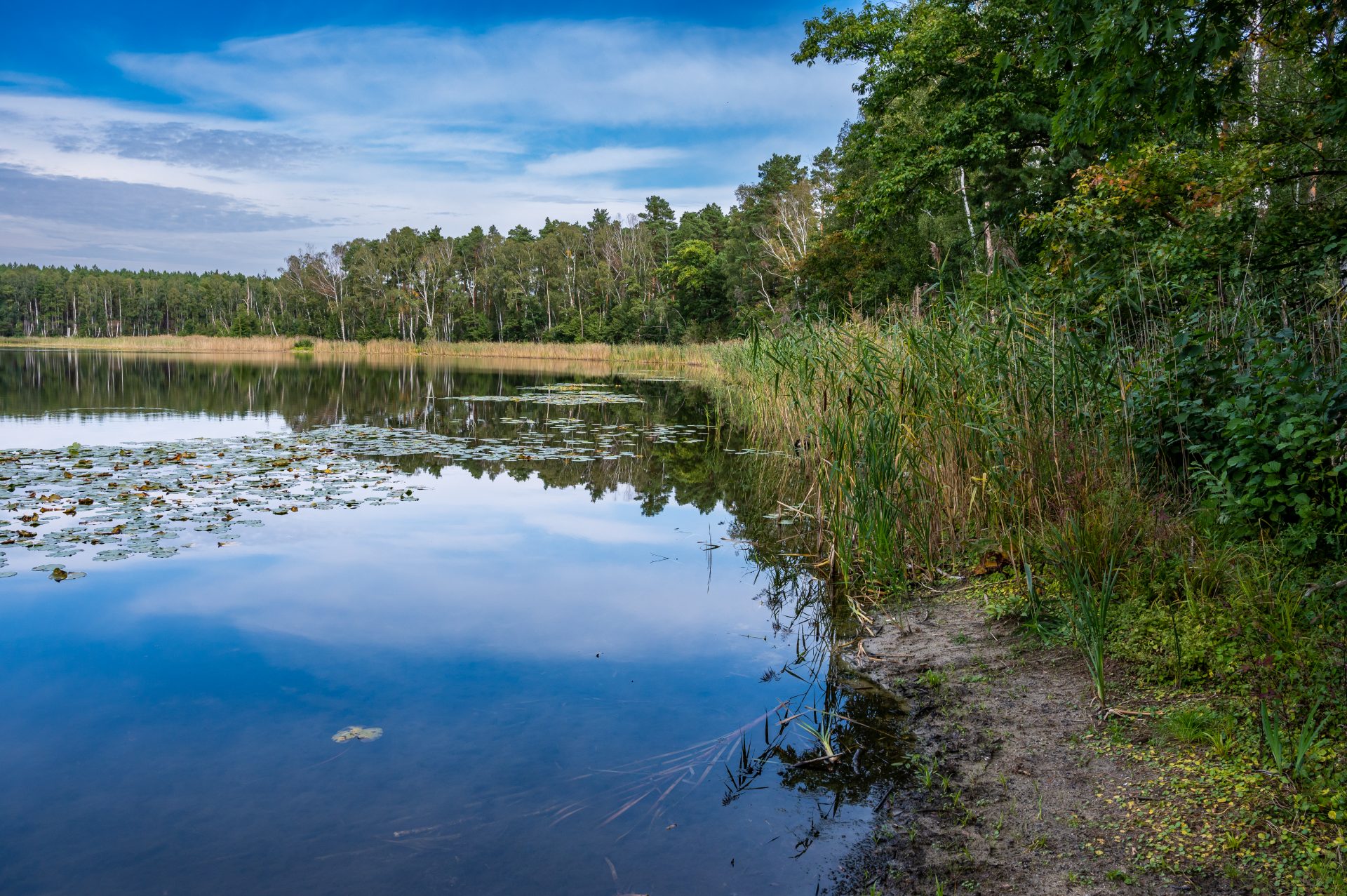 Ugringsee See Lieberose