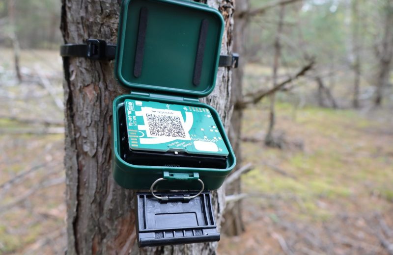 KI_Audiomonitoring_DieWildnisstiftung (2) Audiomonitoring im Projekt KI-Nationalpark. Foto: Die Wildnisstiftung