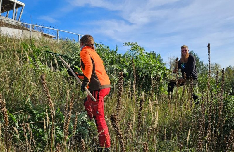 Ranger_Harz-Besuch_Lieberose_SNLB Ranger im Wildnisgebiet