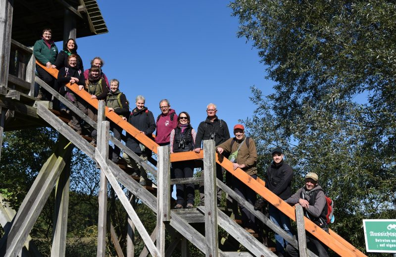 Wildnisbotschafter_Wildnisgebiet_Tangersdorf_O_Nowitzke Wildnisbotschafter-Treffen-Nowitzke