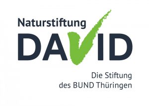 Logo Naturstiftung David