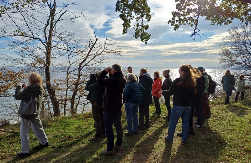 Tagung Wildnis im Dialog. Exkursion auf der Insel Vilm. Foto: Die Wildnisstiftung