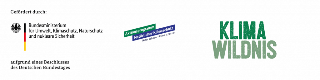 KlimaWildnis Logo