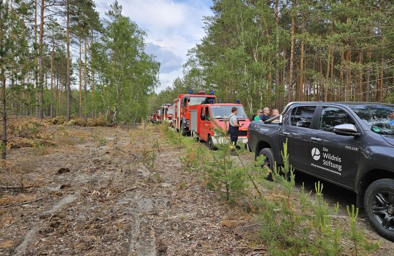 Exkursion mit Einsatzkräften der Feuerwehr im Wildnisgebiet Lieberose. Foto: Die Wildnisstiftung