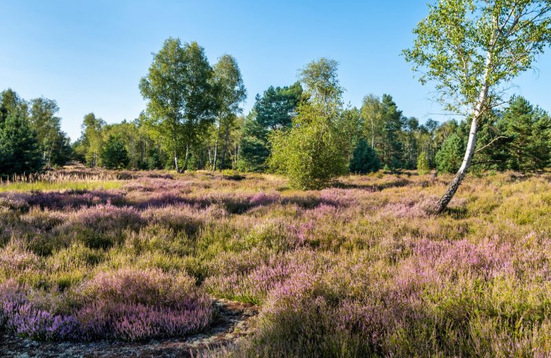 Weite Landschaft