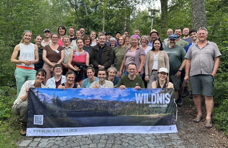 Tagung Wildnis im Dialog 2026: Exkursion im Nationalpark Bayerischer Wald. Foto: Claudia Weigel/Initiative Wildnis in Deutschland