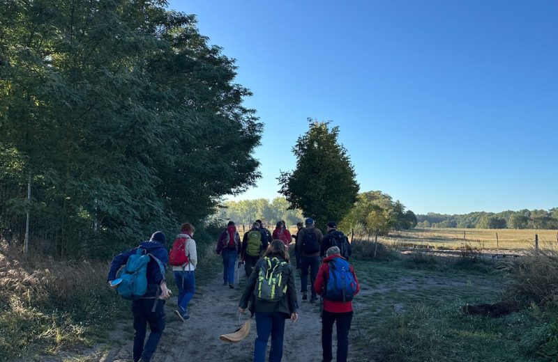 Wildnisbotschafterinnen wandern